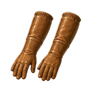 gants_cuir_longs.png