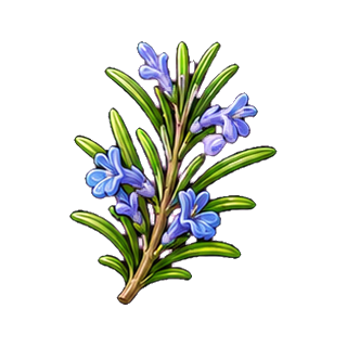 branche_romarin.png