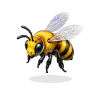 case_abeille_001.png