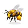 case_abeille_002.png