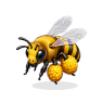 case_abeille_003.png