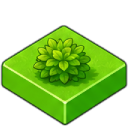 case_buisson_001.png