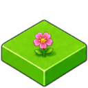 case_fleur_003.png