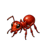 case_fourmie_001.png