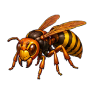case_frelon_002.png