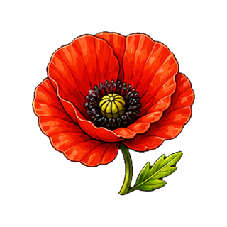 coquelicot.png
