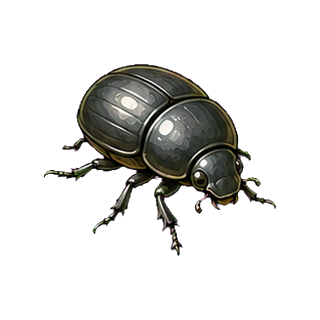 petit_coleoptere_ruche.png