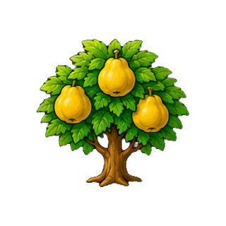 plante_coing.png
