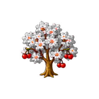 plante_fleurs_de_cerisier.png