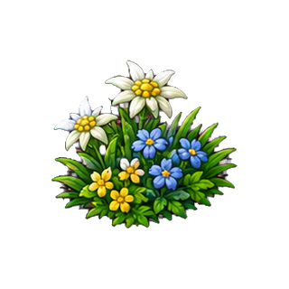 plante_fleurs_de_montagne.png