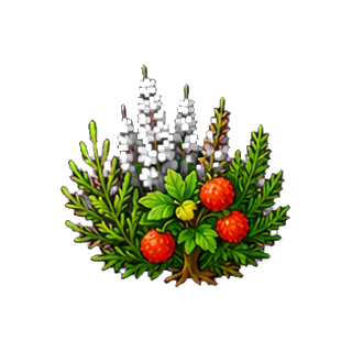 plante_fleurs_du_maquis.png