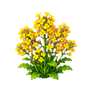plante_fleurs_printanieres.png