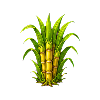 plante_fleurs_salines.png