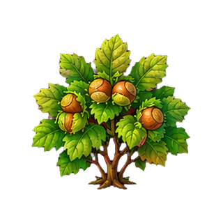 plante_noisetier.png