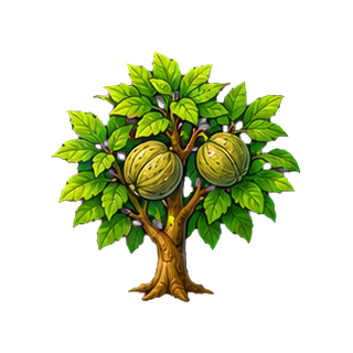 plante_noyer.png