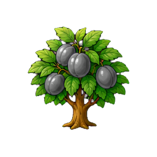 plante_prune.png