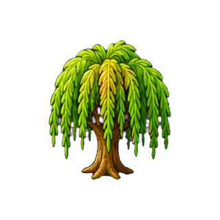 plante_saule.png