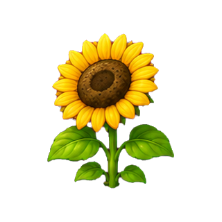 plante_tournesol.png