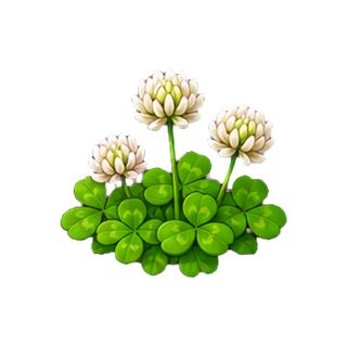 plante_trefle_blanc.png