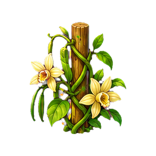plante_vanille.png