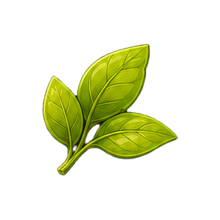 site_2_7.png